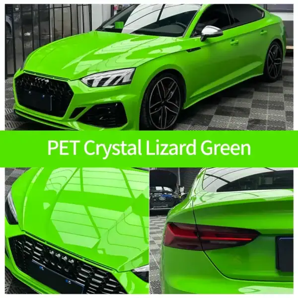 PET 크리스탈 도마뱀 그린 자동차 랩 케이스