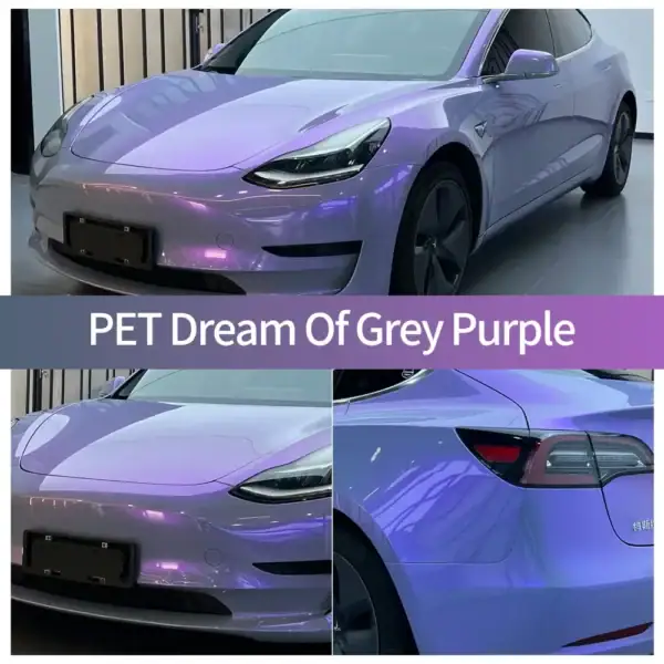 Étui de covering gris-violet pour voiture